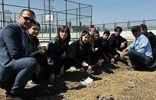 Yüksekova’da öğrenciler kendi sebzelerini yetiştiriyor