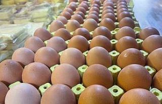 Yumurta kabuğu deyip geçmeyin sanayide çok değerli