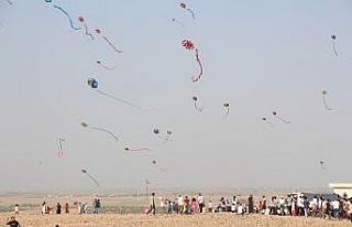 Yüzlerce uçurtma Suriye sınırında gökyüzünü...