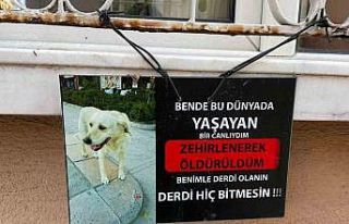 Zehirlendiği iddia edilen köpeğin fotoğrafıyla...