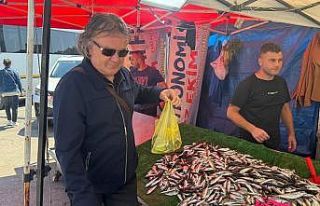 Zonguldak’ta av yasağına rağmen tezgahlar balıksız...