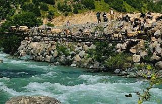 Zorlu coğrafyada hayat mücadelesi: Avaşin Deresi’ndeki...