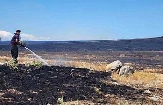 10 bin dönümlük arazi alevlere teslim oldu