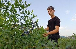 22 yaşında kendi bahçesini kurdu, şimdi 15 ton...