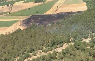 30 dönümlük buğday tarlası küle döndü