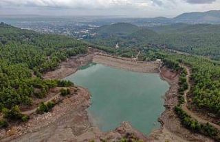 5 yıldızlı otellerde yatak başına günlük bin...