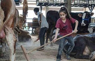 8 yaşındaki Ecrin hayvan pazarının en küçük...