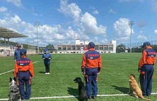 9 ülkeden 27 arama kurtarma köpeği İstanbul’daki...