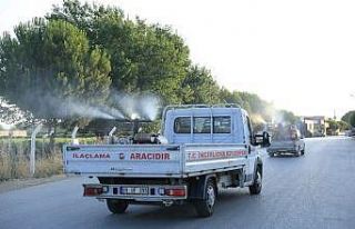 Acarlar’da sivrisinekle mücadele çalışması...