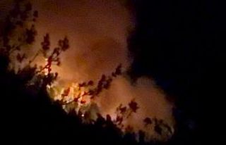 Adana ve Osmaniye’de 14 farklı noktada orman yangını...