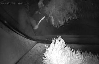 Adana’da minibüs hattı gerginliği