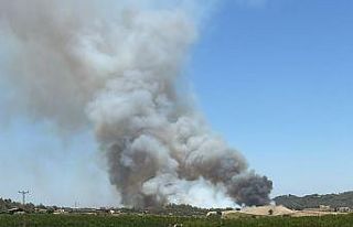 Adana’da orman yangını