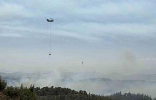 Adana’da orman yangını kontrol altında: 6 gözaltı
