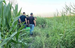 Adana’da sazlıklar arasında bir kişi ölü bulundu