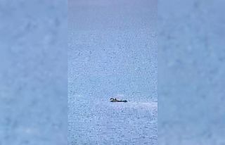 Adana’da yangın söndürme uçağı düştü