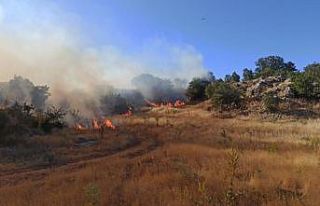 Adıyaman’da orman yangını korkuttu