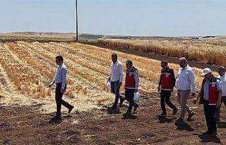 Adıyaman’da tohumculuk sektörü güçleniyor