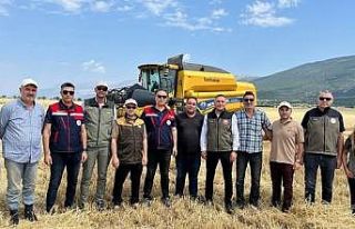 Afyonkarahisar’da hububat hasadı başladı