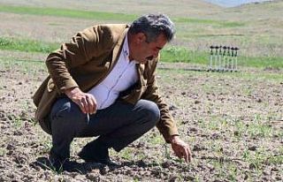 Ağrı Diyadin’de üretim seferberliği