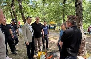 Aile pikniğinde bir araya geldiler