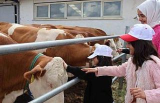 Aileyle üretim yolculuğu: Modern tesislerden tandıra,...