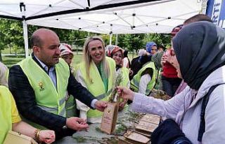 AK Parti’den Çevre Haftası etkinliği