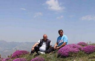 Akdağ’ın zirvesinde fuşya renkli görsel şölen