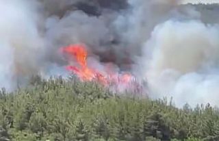 Akhisar’da başlayan orman yangınına müdahale...