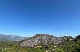 Alanya Kızılalan’da çıkan yangın yaklaşık...