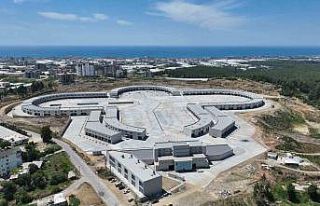 Alanya Toptancı Hali’nde sona yaklaşıldı