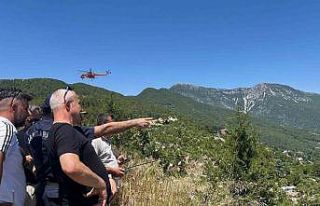 Alanya’da çıkan orman yangını kısmen kontrol...