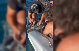 Alanya’da plastik çuvala dolanan yavru caretta...