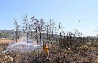 Alevler ormana sıçramadan söndürüldü