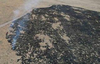 Alevler, tarım arazisine metreler kala kontrol altına...