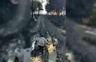 Alevlere elindeki pet şişeyle direndi: O anlar kamerada