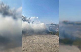 Alevlere teslim olan 5 ton odun küle döndü