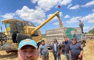 Aliağa’da 2025 yılı hububat hasatı başladı