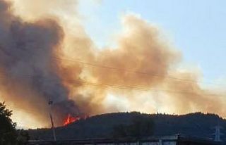 Aliağa’daki orman yangıyla ilgili 1 kişi tutuklandı