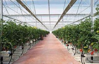 Altun Gıda, Karya Doğal Tarım Üretim ve Seracılık’ı...