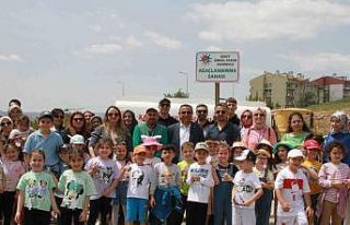 Anaokulu öğrencileri 500 fidan dikti