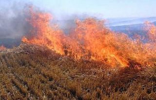Anız yakma doğal dengeyi bozma
