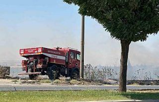 Anız yangını bahçeye sıçradı