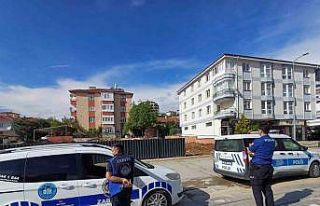 Ankara’da kaçan dana yaşlı kadını yaraladı