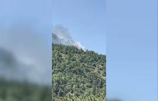 Ankara’da orman yangını çıktı