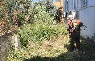 Antakya Belediyesi’nden parklar ve yeşil alanlarda...