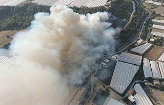 Antalya’da orman yangını