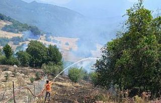 Antalya’da ormanlık alanı tehdit eden yangına...