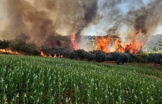 Antalya’da ormanlık ve kırsal alanda çıkan yangın...