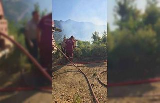 Antalya’daki 2 orman yangınından 1’i kontrol...