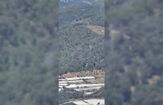 Antalya’daki orman yangını kontrol altına alındı